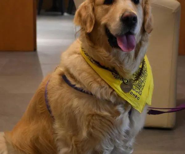 Suez 3* Lido di Jesolo