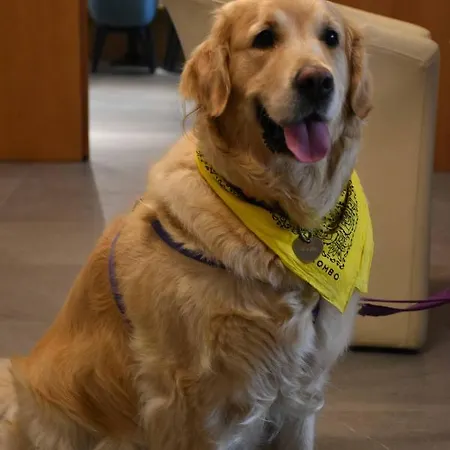 Suez 3* Lido di Jesolo