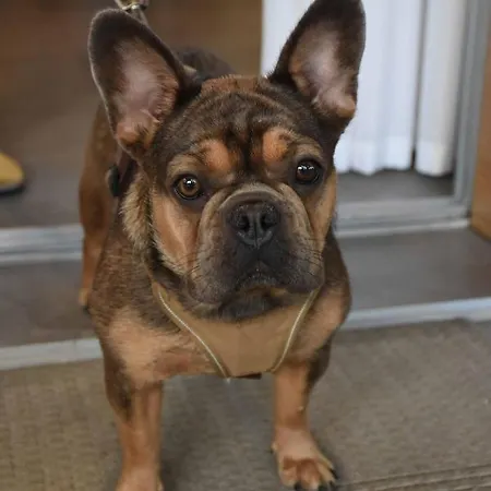 Ξενοδοχείο Suez